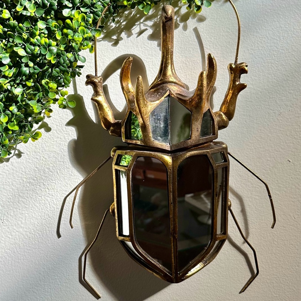Rhino Beetle Mirror